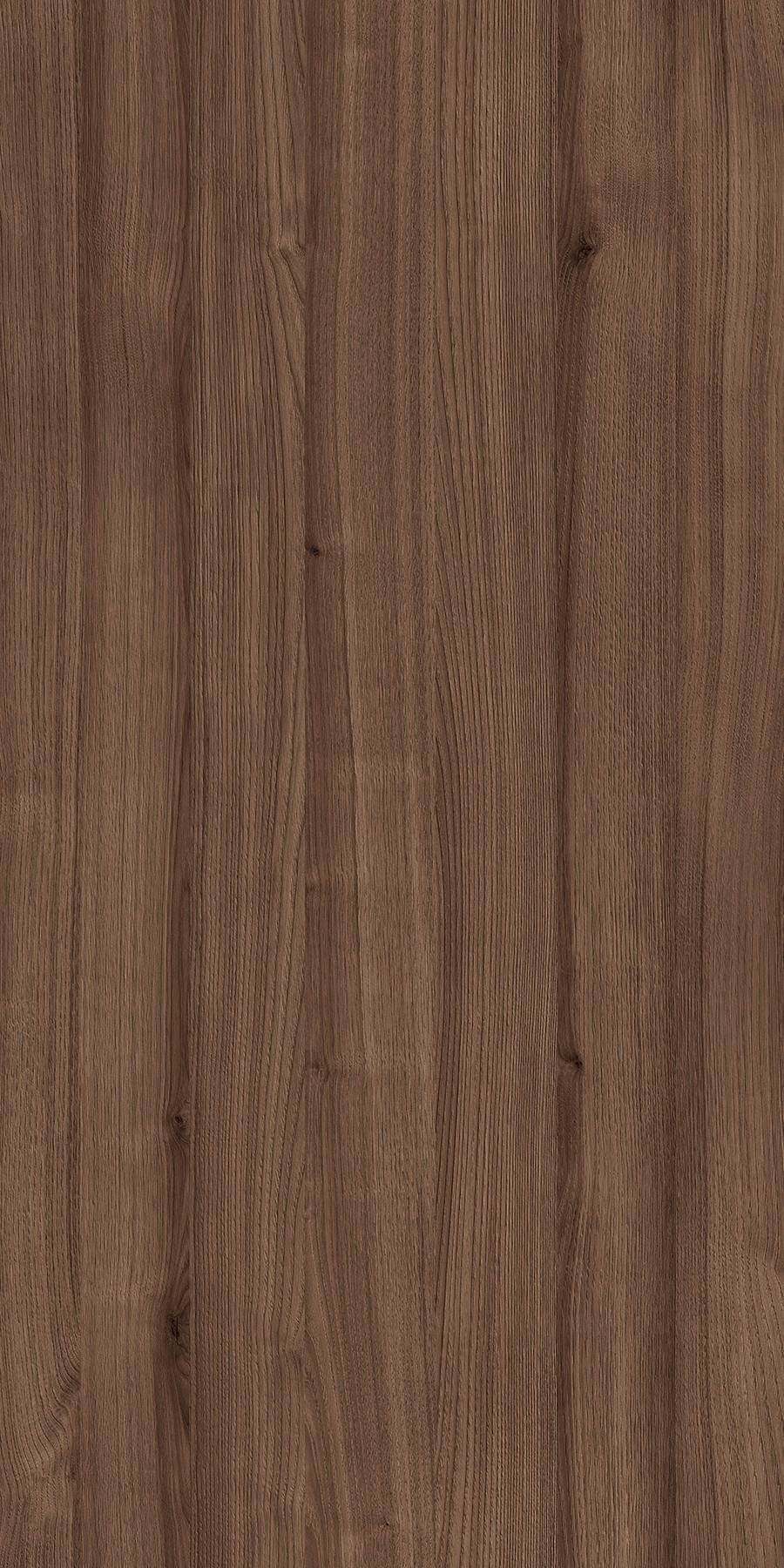 Chelsea Chestnut Brown